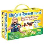 Insect Lore Life Cycle Figurines 24 Pc Set