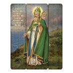 Hail Mary Gifts Inspirational Wood Pallet Sign, Medium, Saint Patrick 並行輸入品