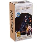 Eaglemoss Hero Collector Hogwarts Ravenclaw Slouch Socks and Mittens Knitti 並行輸入品