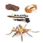 MODEBESO&amp;#xAE; Mosquito Animal Life Cycle,Insect Growth Cycle Model,Hand Paintin 並行輸入品