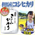 米 29年産 当日精米 兵庫県但馬産 こしひかり 5kg 特A 一等米 白米・分搗き  （有機質肥料使用）