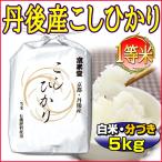 お米 米 5kg こしひかり 京都米 丹後産 （白米・分搗き） 一等米 当日精米 大嘗祭 令和元年産 タイムセール 安い