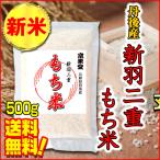 新米 もち米 450g 白米 京都産 新羽二重 全国送料無料 メール便 令和4年産