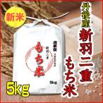 もち米 5kg 送料無料 白米 京都産 新羽二重 令和5年産