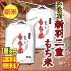 もち米 10kg 送料無料 白米 京都産 新羽二重 5kg×2袋 令和3年産