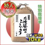 20%OFF Ìõ¤¢¤ê 28ǯ»ºÊÆ ¥³¥·¥Ò¥«¥ê 10kg ÇòÊÆ ʬ¤Å¤²Ä ʼ¸Ë¸© ðÇȤµ¤µ¤ä¤Þ»º 7.5³äÇÀÌô¸º ¸¡ºº°ìÅùÊÆ ÅöÆüÀºÊÆ Á÷ÎÁ̵ÎÁ
