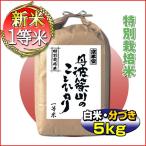 28ǯ»º ¥³¥·¥Ò¥«¥ê 5kg ʼ¸Ë¸© ðÇȤµ¤µ¤ä¤Þ»º 7.5³äÇÀÌô¸º ¸¡ºº°ìÅùÊÆ ÇòÊÆ ÅöÆüÀºÊÆ