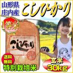 お米 コシヒカリ 玄米 30kg 山形県庄内産 一等米 特別栽培米 5kg×6袋 送料無料 令和4年産