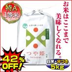 Ìõ¤¢¤ê 42¡óOFF ¤Ä¤äɱ 5kg ÆÃA °ìÅùÊÆ »³·Á¸©»º ÇòÊÆ ʬ¤Å¤²Ä ÆÃÊ̺ÏÇÝÊÆ ÅöÆüÀºÊÆ ÎáÏÂ4»ºÊÆ
