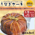 うなぎケーキ5号 うなぎ ケーキ おもしろケーキ お祝い サプライズ 個性的 押寿司 誕生日 バースデーケーキ
