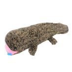 オオサンショウウオ口開け