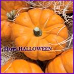 ハロウィンカボチャ・ミニパンプキン　オレンジ系