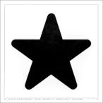 KW033 SEI SIMBOLI SINSEMANTICI/STAR エンツォ・マーリ【Enzo Mari】ポスター  スター 星 DEDZ11WS/STAR
