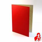A4用 or B5用 赤紙表紙 2枚収納用 証書ファイル 賞状ホルダー ※サイズをご選択下さい