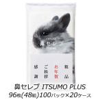 【配送不可エリアあり】【法人・企業様限定販売】●ネピア 鼻セレブ ITSUMO PLUS 96枚(48組) 100パック×20ケース ティッシュペーパー 送料無料 73859