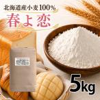 �O�c�Y�� �t��� 5kg �k�C���Y����100% ���Y���� �z�[���x�[�J���[ �H�p�� ���ٗp ���p���p ���َq ���� ���ِ��p���ޗ� �p����� ����