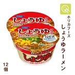 低たんぱく麺 腎臓病食 ホリカフーズ しょうゆラーメン 1ケース(12個)  低タンパク麺  減塩 カップ麺　減塩ラーメン プレゼント ギフト 贈り物