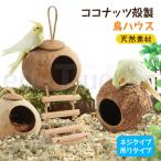  кокос . производства птица house .. дом маленькая птица. подарок cocos nucifera. реальный птица. гнездо натуральный материалы мелкие животные .. дом документ птица se регулирование длиннохвостый попугай o черепаха длиннохвостый попугай маленькая птица. подарок cocos nucifera. реальный 