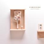 ショッピング正月 羽子板 髪飾り 壁掛け コンパクト かわいい【選べる3種類】8号 髪飾り羽子板（ヒラリ・エイミ・セシル）アクリルケース 初正月