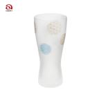 アデリア ビアグラス プレミアムニ