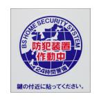 豊光 防犯シール 「地球」 S 2枚入 BS-817