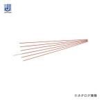 デンサン DENSAN ジョイント釣り名人Jr. 1.0m φ5mm 6本 JF-5030