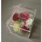 ショッピングプリザーブドフラワー プリザーブドフラワー*クリアカレ入りアレンジ＊ピンク系