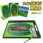 ゴルフ練習マット 交換式 スイング練習 軌道チェック ゴルフ練習器具 スイング矯正 アプローチ練習 インパクト練習 ゴルフトレーニングマット 室内 爆買