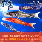 ショッピングベランダ 鯉のぼり こいのぼり ベランダ 蒼龍【そうりゅう】 1.2ｍ ベランダ用鯉のぼり 家紋入れ・名前入れ可能吹流し