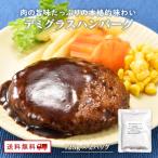 ショッピングハンバーグ 新発売 九州のごちそう便 特製 デミグラスハンバーグ 125g×2パック レトルト 常温 非常食 鶏