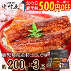 うなぎ　蒲焼き　国産　ギフト　鹿児島県産　200g×3尾　化粧箱　鰻　ウナギ　うなぎ蒲焼　蒲焼　贈り物　入学祝い　母の日