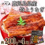 うなぎ　蒲焼き　国産　ギフト　鹿児島県産　200g×4尾　化粧箱　鰻　ウナギ　うなぎ蒲焼　蒲焼　贈り物　入学祝い　母の日