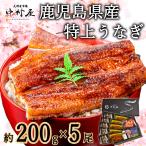 うなぎ 国産 蒲焼き 鰻 ウナギ 約200g×5尾 化粧箱 お取り寄せグルメ 海鮮 うなぎ蒲焼 国産うなぎ 蒲焼 ギフト 内祝 誕生日 母の日 父の日