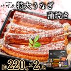 ショッピング香典返し 父の日　うなぎ　蒲焼き　ギフト　特大　220g前後×2尾　化粧箱　鰻　ウナギ　うなぎ蒲焼　蒲焼　贈り物　お中元　丑の日　送料無料