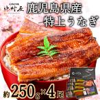 うなぎ 国産 蒲焼き 鰻 ウナギ 約250g×4尾 化粧箱 お取り寄せグルメ 海鮮 うなぎ蒲焼 国産うなぎ 蒲焼 ギフト 内祝 誕生日 新生活 卒業祝い 入学祝い 母の日
