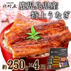 ショッピングうなぎ 国産 うなぎ　蒲焼き　国産　ギフト　鹿児島県産　特大　250g×4尾　大容量高級うなぎたれ付き　うなぎ蒲焼　蒲焼　化粧箱　贈り物　入学祝い　母の日