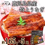 ショッピングうなぎ 父の日 父の日　丑の日　うなぎ　蒲焼き　国産　ギフト　鹿児島県産　165g×5尾　化粧箱　鰻　ウナギ　うなぎ蒲焼　蒲焼　贈り物　母の日　遅れてごめんね