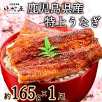 うなぎ 国産 蒲焼き 鰻 ウナギ 約165g×1尾 化粧箱 お取り寄せグルメ 海鮮 うなぎ蒲焼 国産うなぎ 蒲焼 ギフト 内祝 誕生日 新生活 卒業祝い 入学祝い 母の日