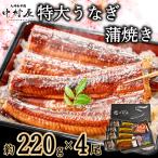 うなぎ 蒲焼き 鰻 ウナギ 蒲焼 約220g×4尾 化粧箱 お取り寄せグルメ 海鮮 うなぎ蒲焼 食べ物 グルメ ギフト 内祝 新生活 卒業祝い 入学祝い 母の日