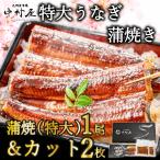 まだ間に合う 母の日 うなぎ 鰻 ウナギ 約220g×1尾 & カットうなぎ 約100g×2枚 化粧箱 お取り寄せグルメ 海鮮 うなぎ蒲焼 食べ物 内祝 新生活 卒業祝い