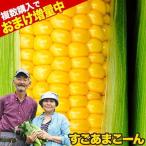 【複数購入でおまけ×クーポン値引き】 とうもろこし 卯野農場 すごあまこーん 5本入り (3L~L サイズ) 送料無料 恵味  《7月上旬-7月中旬より発送予定》