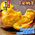 家庭用 安納芋 種子島産 1kg (サイズ大中小不揃い) 送料無料 訳あり さつまいも おまけ増量 3kg 5kg 7kg 1〜5営業日以内に発送予定(土日祝日除く) お中元
