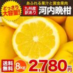 訳あり 河内晩柑 8kg 九州産 送料無料 フルーツ 果物 みかん 晩柑 《1-5営業以内発送予定(土日祝除く)》