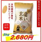 米　お米　５ｋｇ　熊本県産　凄い玄米　ひのひかり　令和５年産　送料無料　