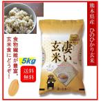 米　お米　５ｋｇ　熊本県産　凄い玄米　ひのひかり　令和５年産　送料無料　