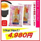 米　お米　１０ｋｇ　（５ｋｇ×２）　一等米　あきたこまち　国内産　令和５年産　送料無料　