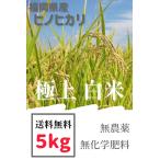 早期予約】【新米】無農薬白米５kg