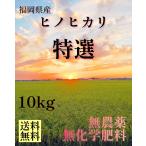 早期予約】【新米】特選　無農薬玄