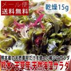 熊本県 天草産 天然海藻サラダ 乾燥 12g  ポイント消化　　501円