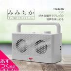 ワイヤレススピーカー TEES 充電式 ワイヤレス スピーカー システム みみちか TSP-M29